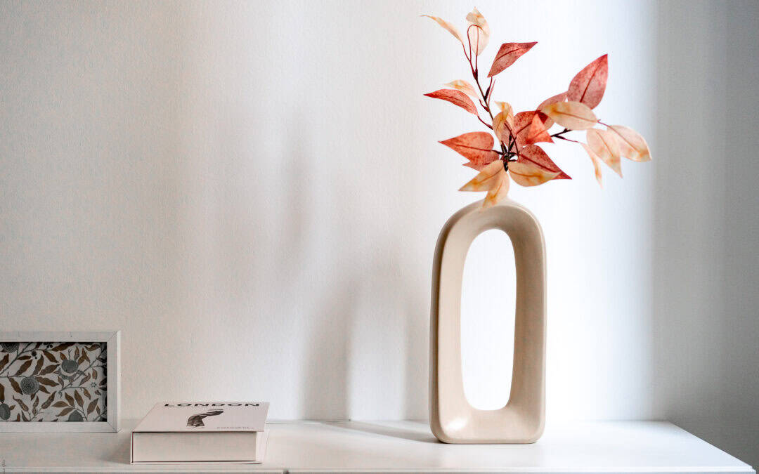 GLI INIZI DI UNA PROFESSIONE…